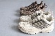 SALOMON(�������)"ACS PRO DESERT - Dark Earth/Caribou/Wren -"