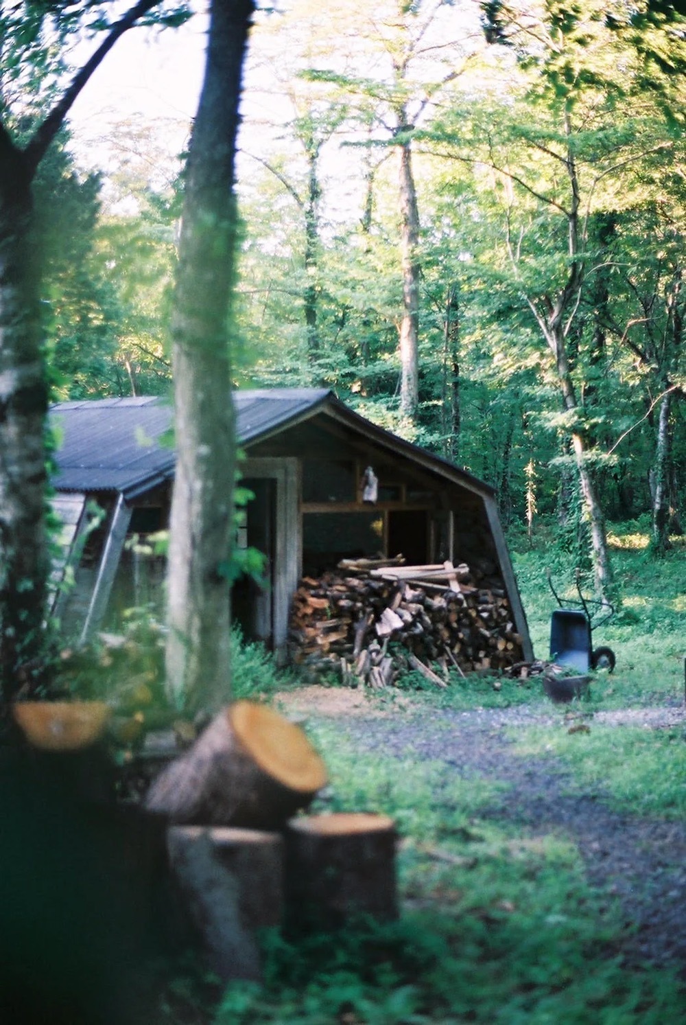 �ں����� / limited��WONDER FULL LIFE / OLAibi FRAGRANCE(�����ե�饤�� / ���饤�� �ե쥰���)��Weaving the path of WONDER FULL LIFE made by Float��