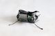 ��limited��SEALSON �� RAYON VERT(�����륽��ߥ졼��� �С���) "HB02 | HYDRATION BELT"