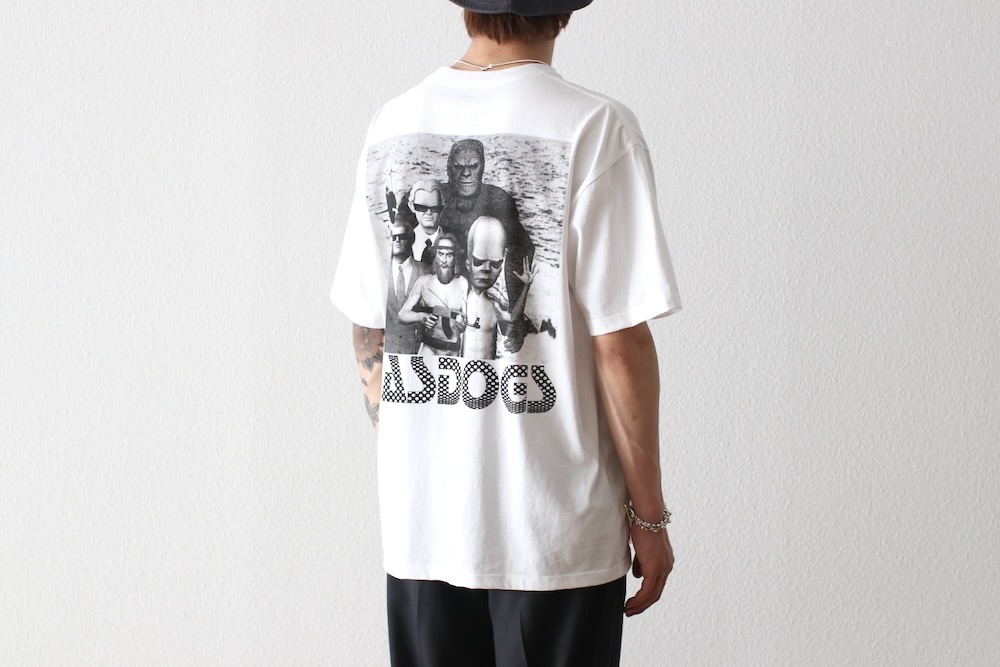 BIAS DOGS�ʥХ����� �ɥå�����"99%"