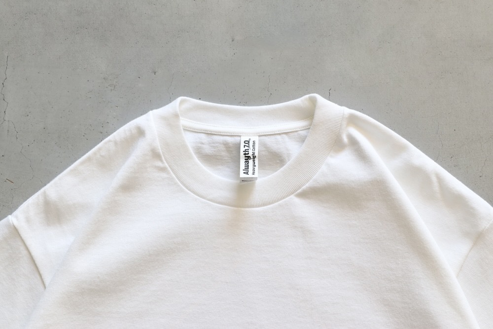 ALWAYTH(���륦������) "T3"