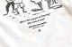 WONDER MOUNTAIN ATHLETIC CLUB(ޥƥ å ) "Playing  L/S Top No.10"