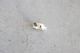 Mexican Jewelry (�ᥭ������ ���奨�꡼) "Silver Ring -Press Shape-"