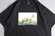 ��8.29 12:00 Release / limited��FreshService �� FRIEND EDITIONS(�ե�å��奵���ӥ� �� �ե��� ���ǥ������)"CORPORATE S/S TEE ��SHEEP��"