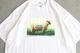 ��8.29 12:00 Release / limited��FreshService �� FRIEND EDITIONS(�ե�å��奵���ӥ� �� �ե��� ���ǥ������)"CORPORATE S/S TEE ��SHEEP��"