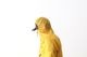 Tilak(�ƥ���å�) "Orgil Anorak"