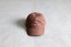 BAL(�Х�) "COTTON 6-PANEL HAT"