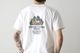 ��limited��KEIMEN �� FRUIT OF THE LOOM (������� �� �ե롼�� ���� �� �롼��) "Vegetable T-shirts"