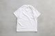 ��limited��KEIMEN �� FRUIT OF THE LOOM (������� �� �ե롼�� ���� �� �롼��) "Vegetable T-shirts"