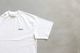 Setinn(åƥ) "Poster Tee"