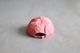 Setinn(åƥ) "Souvenir Cap -Setinn-"