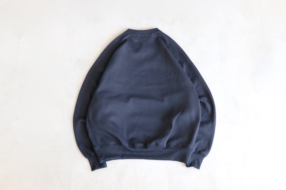 DAIWA PIER39( ԥƥʥ) "TECH SWEAT CREW FREEDOM SLEEVE"