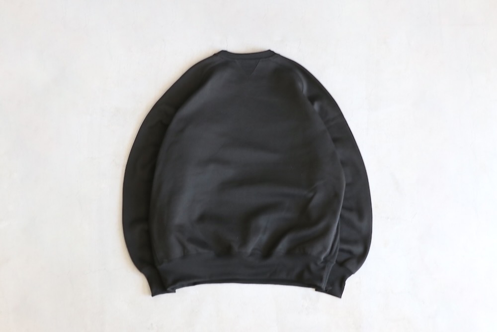 DAIWA PIER39( ԥƥʥ) "TECH SWEAT CREW FREEDOM SLEEVE"