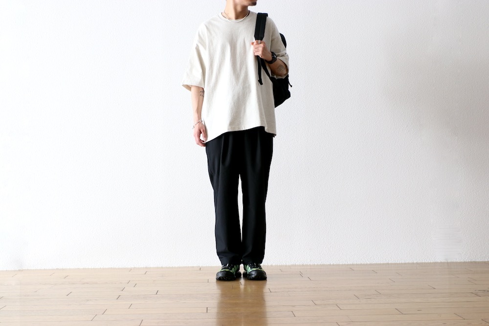 limiteditten.  SCREENSTARS (åƥ  ꡼󥹥) "NEVADA Tee 002- GARMENT DYE -"