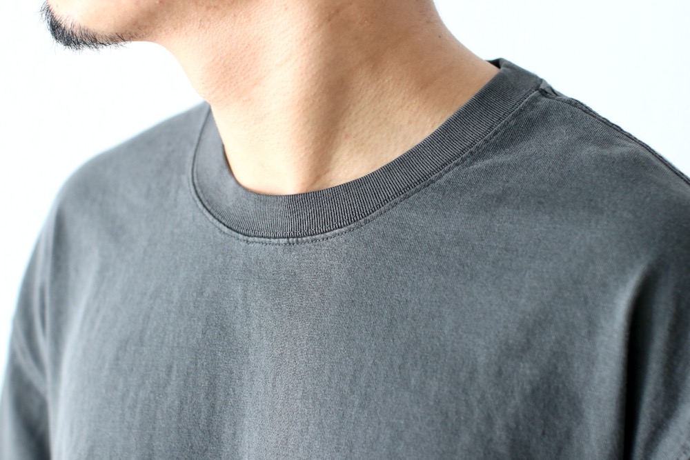 limiteditten.  SCREENSTARS (åƥ  ꡼󥹥) "NEVADA Tee 002- GARMENT DYE -"