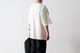 limiteditten.  SCREENSTARS (åƥ  ꡼󥹥) "NEVADA Tee 002- GARMENT DYE -"