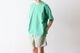 limiteditten.  SCREENSTARS (åƥ  ꡼󥹥) "NEVADA Tee 002- GARMENT DYE -"