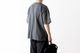limiteditten.  SCREENSTARS (åƥ  ꡼󥹥) "NEVADA Tee 002- GARMENT DYE -"
