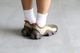 ��limited��BRAIN DEAD �� OAKLEY(�֥쥤��ǥå� �� �������꡼) "Oakley Factory Team Flesh Sandal"