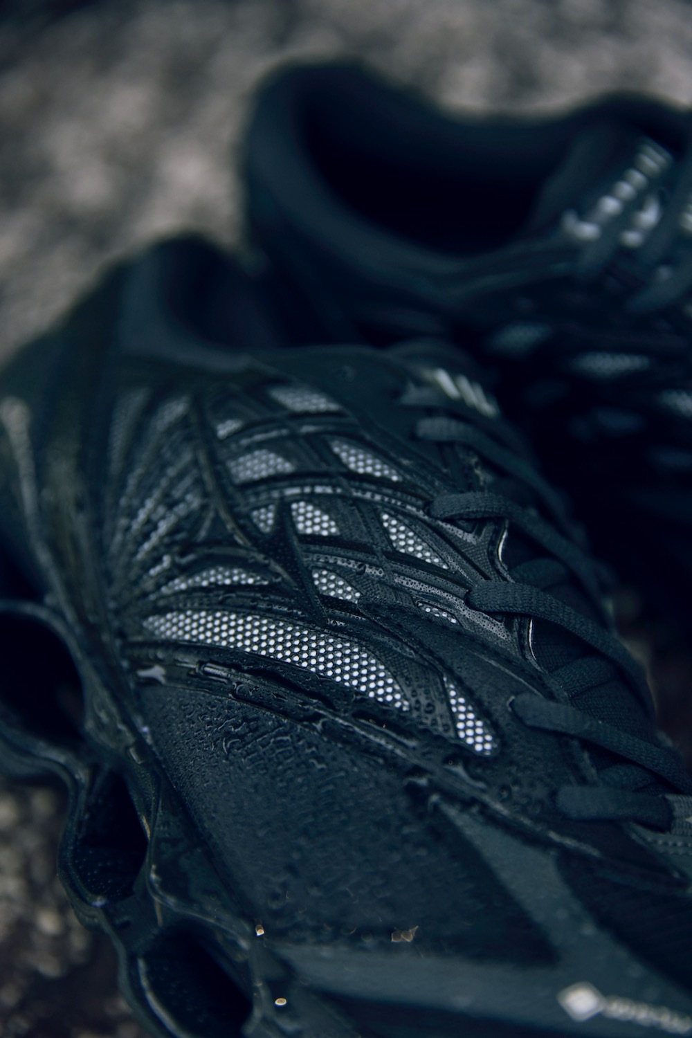 ��GORE-TEX��MIZUNO (�ߥ���) "WAVE PROPHECY LS GTX"