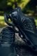��GORE-TEX��MIZUNO (�ߥ���) "WAVE PROPHECY LS GTX"