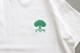 [20% > 25%OFF] MARMOT CAPITAL (�ޡ���åȥ���ԥ���) "TREE SS"