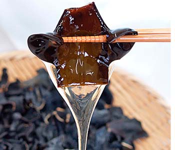 ねこ足根昆布45g 