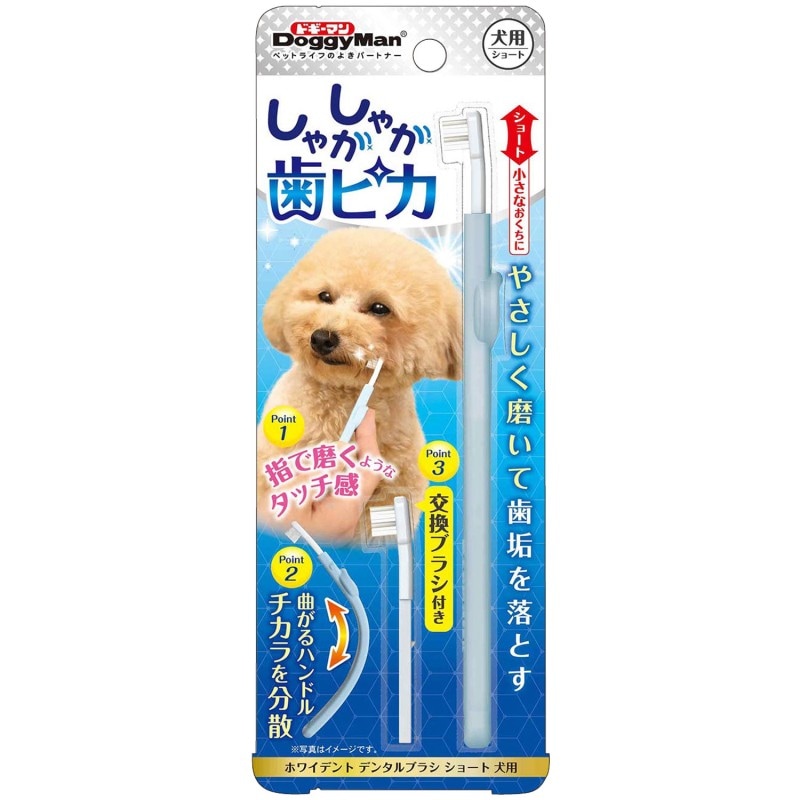 ホワイデント デンタルブラシ ショート 犬用