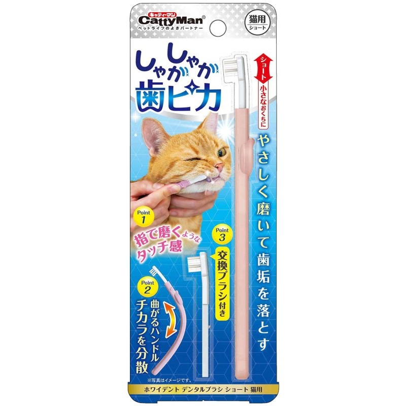 ホワイデント　デンタルブラシ　ショート　猫・超小型犬用