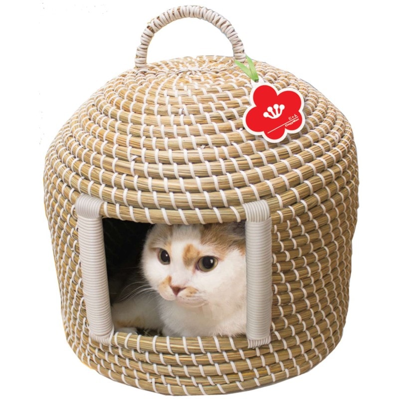 にゃんこのちぐら 夢