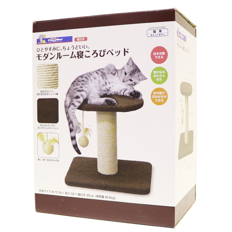 モダンルーム　寝ころびベッド