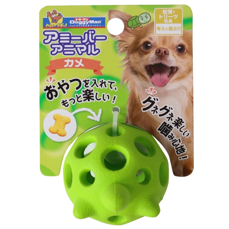 アミーバーアニマル カメ
