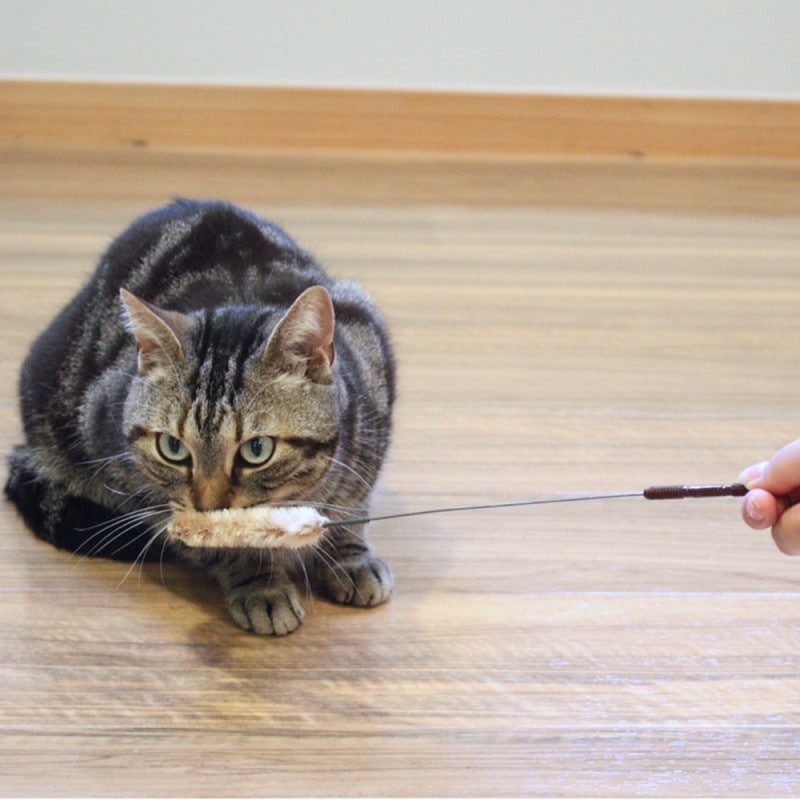 じゃれ猫 猫のお遊び草 2本セット｜ドギーマン公式オンラインショップ