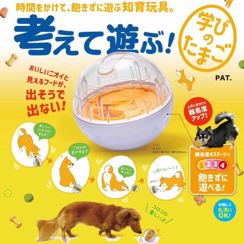 考えて遊ぶ! 学びのたまご｜ドギーマン公式オンラインショップ
