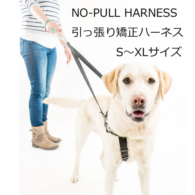 引っ張り防止　ノンプルハーネス＋専用リードセット　S～XLサイズ　 ペット・ペットグッズ 犬用品 首輪・胴輪・リード 胴輪・ハーネス しつけ　大型犬 中型犬小型犬 5800ハーネス