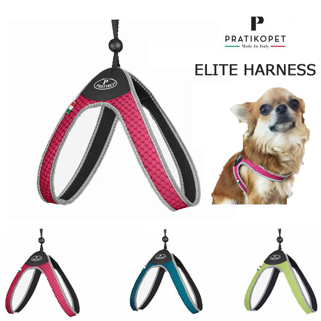 犬 ブランド ハーネス 光る PRATIKO・プラティコ　エリートハーネス　　小型犬・中型犬用 胴輪  おしゃれ ぬけない かわいい　一体型 簡単装着