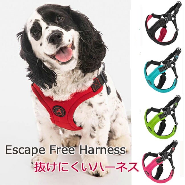 ハーネス、首輪の輸入犬用品の店 DOGPLANET