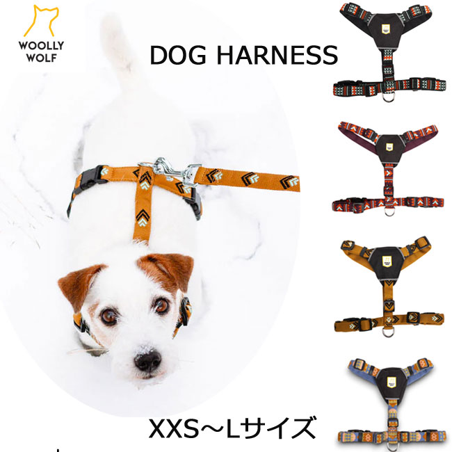 Etna Azul スペイン製 高級犬用リード（小型犬　中型犬） 楽天市場】Alfie ≪ハーネスリードセット≫ ボーダー ハーネス