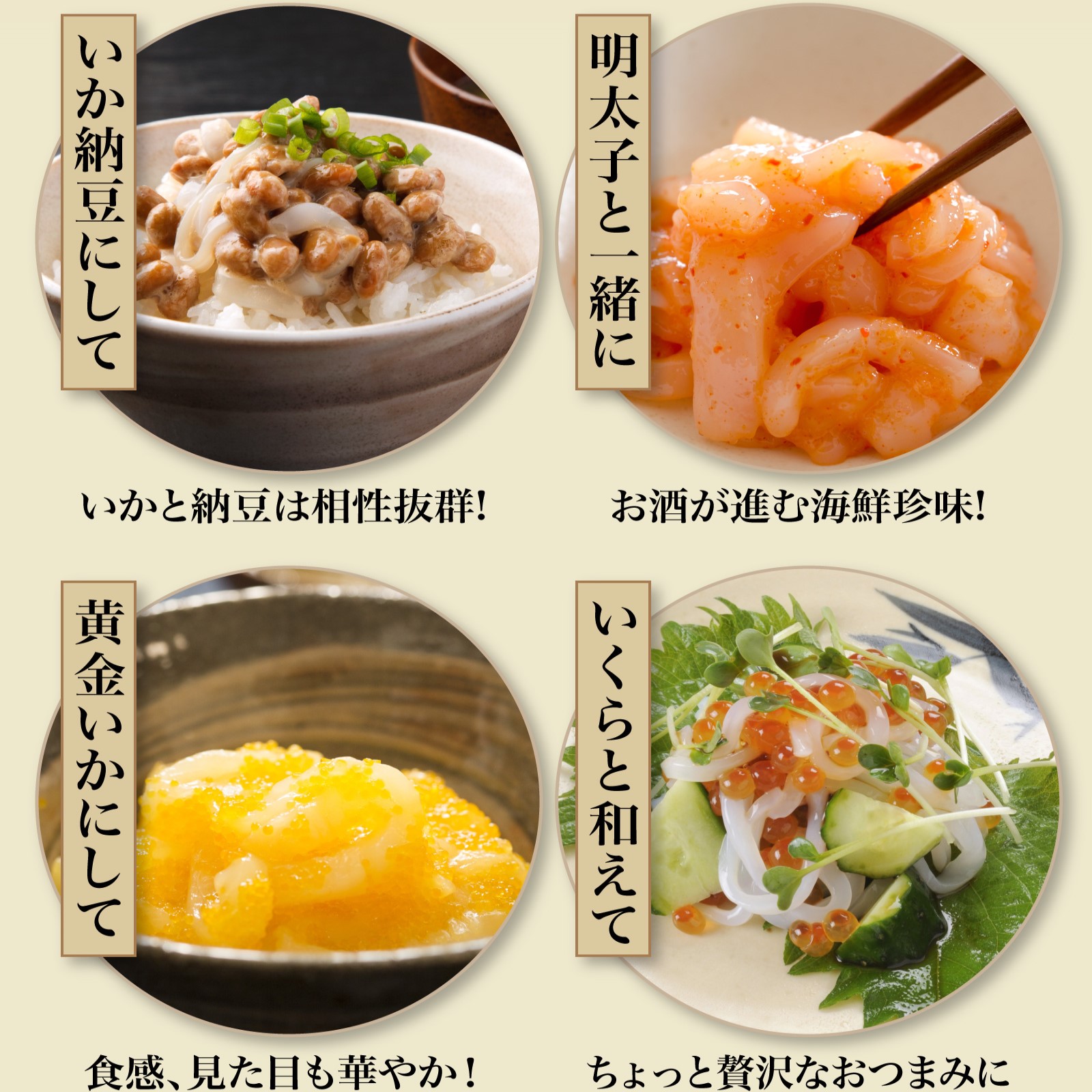 いかさしそうめん（40g）3パックセット