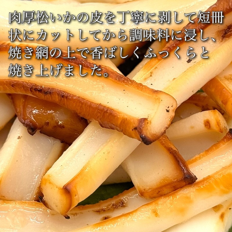 道水 網焼きいか 醤油味 選べる500g・1KG(500g×2袋) 肉厚 イカ焼き 冷凍いか 大容量 自宅用 北海道 函館製造 敬老の日 いか おつまみ