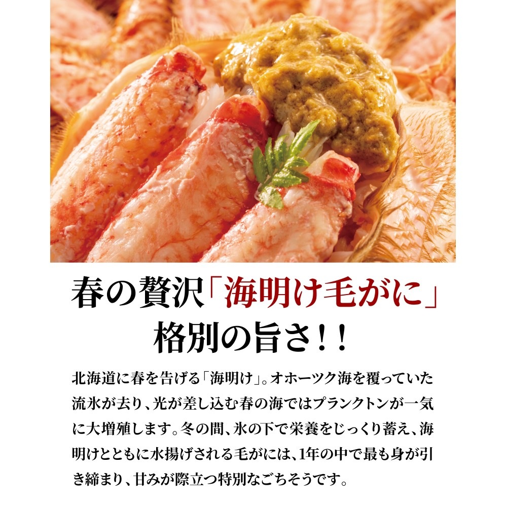北海道沙留産 浜茹で毛がに（約800g）