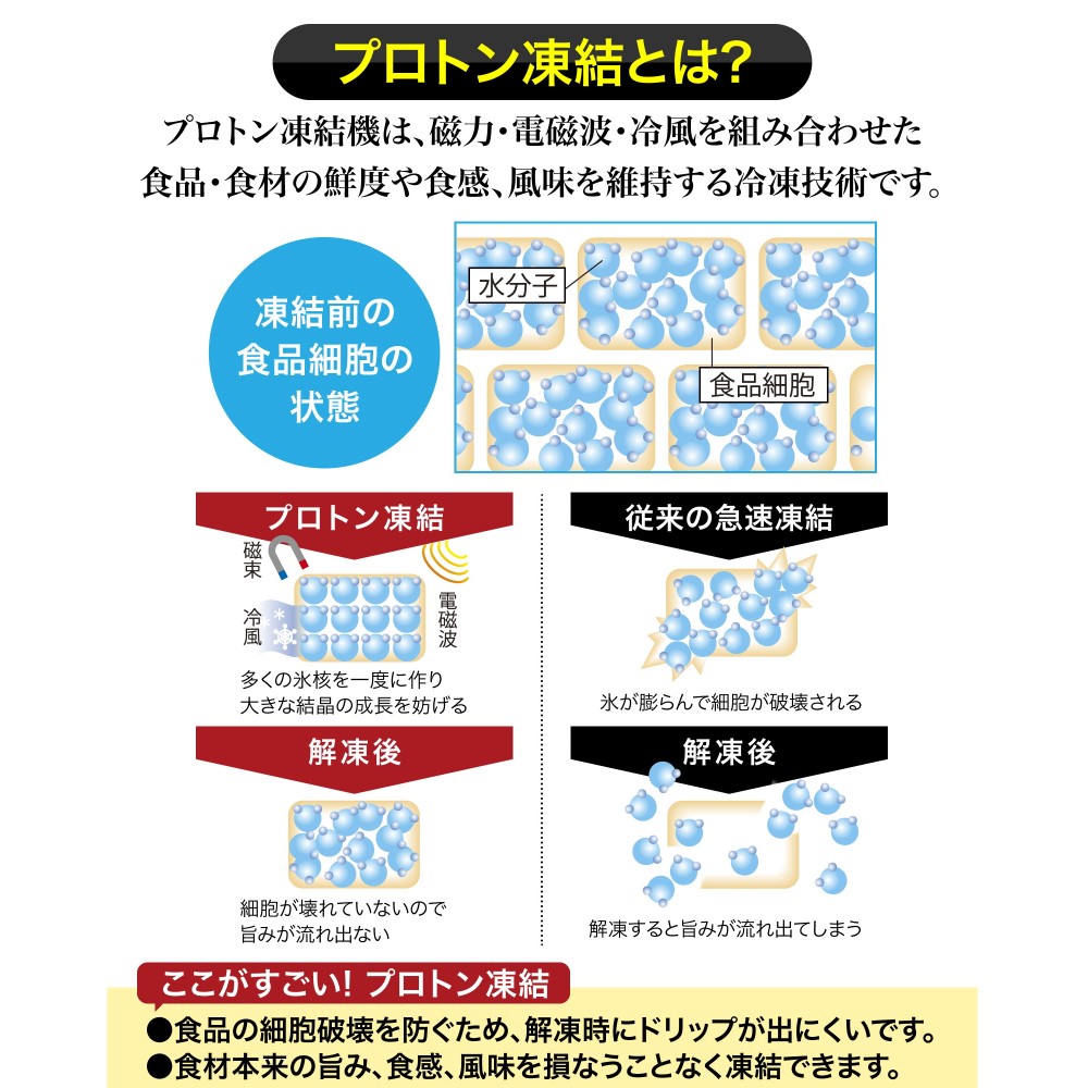 北海道産 プロトン帆立（お刺身用）1kg（６S）