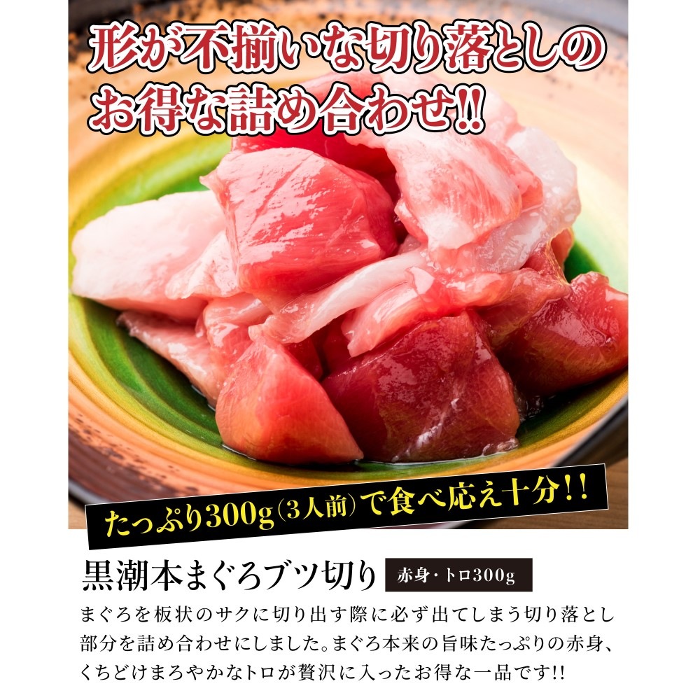 道水 黒潮本まぐろ ブツ切り300g（赤身・トロ）お刺身用 高知県大月町産 全国養殖クロマグロ品評会 最優秀賞