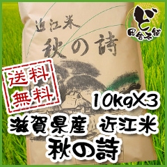 ☆新米☆ 【送料無料】 令和7年　滋賀県産　近江米　秋の詩　10kg×3袋