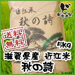 ☆新米☆ 【送料無料】 令和7年　滋賀県産　近江米　秋の詩　5kg