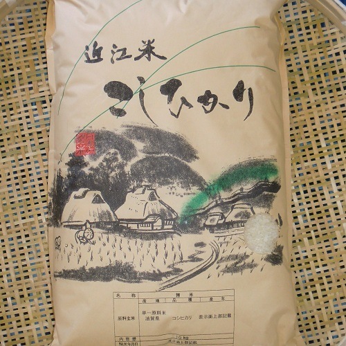 ☆新米☆【送料無料】　令和7年　滋賀県産　近江米　こしひかり　10kg×2袋
