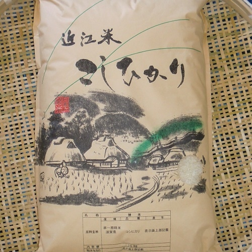 ☆新米☆【送料無料】　令和7年　滋賀県産　近江米　こしひかり　10kg