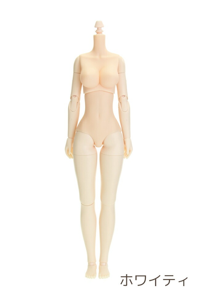 26BD-F01W-L 26cmӥĥܥǥ ХȥL ۥ磻ƥ (ؤΤOK)