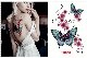 �����ϥ��ƥå����٥꡼���󥹰���,���������꡼,tattoo����AC-071