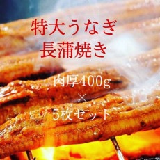 鰻 長蒲焼き ロストラータ種 特大サイズ ウナギかば焼き お家ご飯 真空パック 1枚400g お得な5枚セット 肉厚うなぎ|鰻|魚がしどまん中